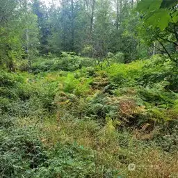 12-Flat area of property