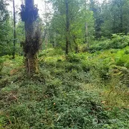13-Flat area of property