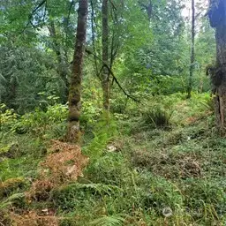 14-Flat area of property