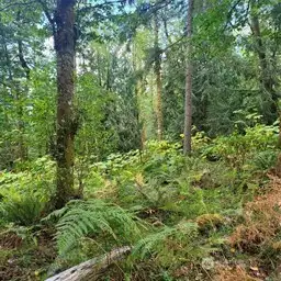 15-Flat area of property