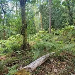 17-Flat area of property