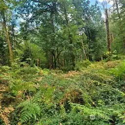 21-Flat area of property