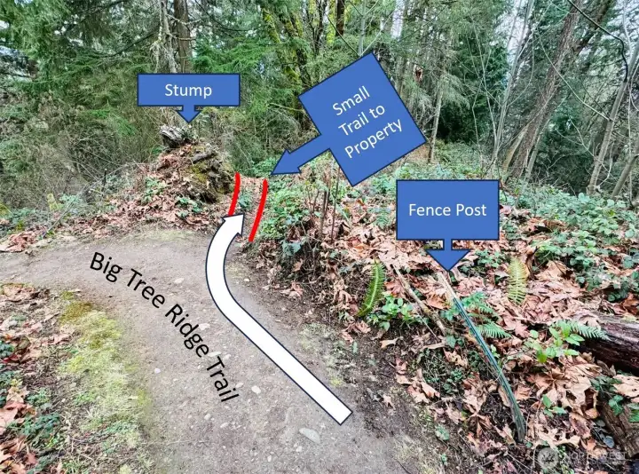 24-Trail branch to property