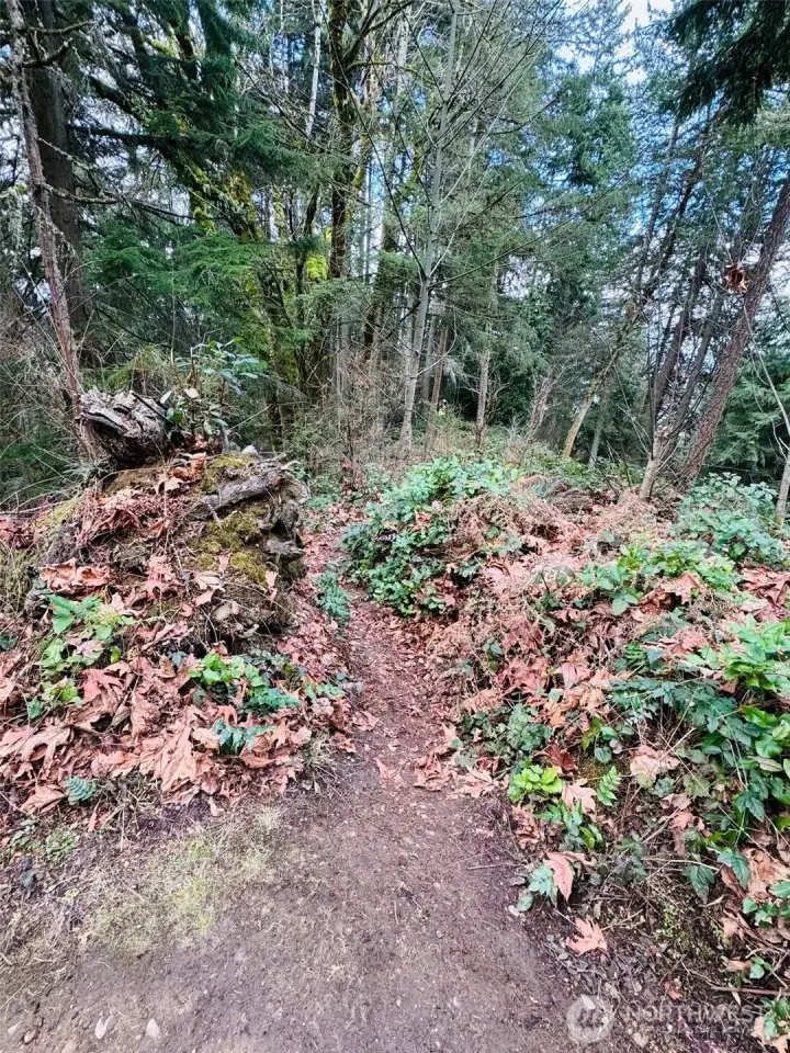 25-Trail to property