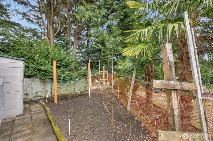 Welcome to the Berry Patch - Raspberries, Blueberries, Strawberries + more! Coming this Summer!