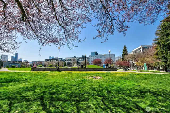 1-block to Cal Anderson.