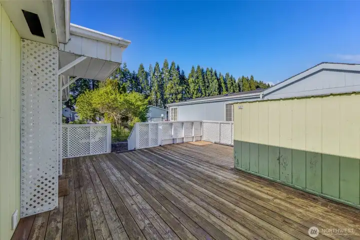 Back Deck