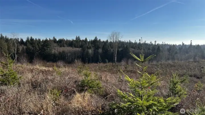Sun soaked, full of nature and ready for so many possibilities?