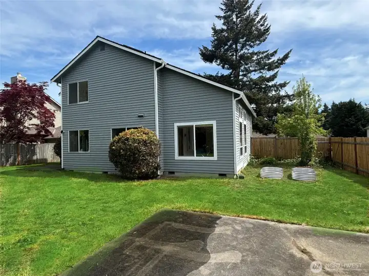 Back yard