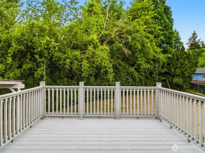 Solid trex decking- no sanding or staining!