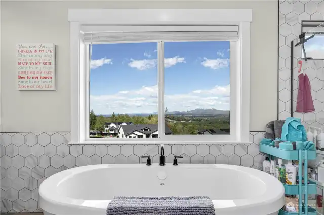 Views from the primary bath.