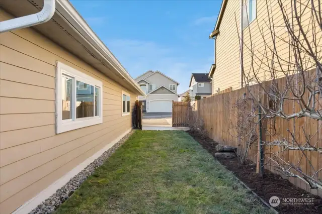 Enjoy bountiful blueberry plants, and a lovely espalier apple tree. This will create even more privacy in the warmer months when you're enjoying your yard!