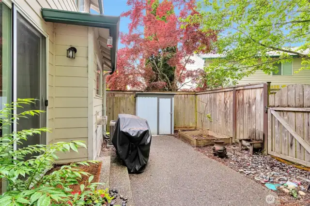 Private back yard