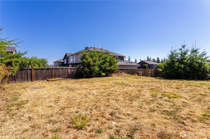 Large backyard