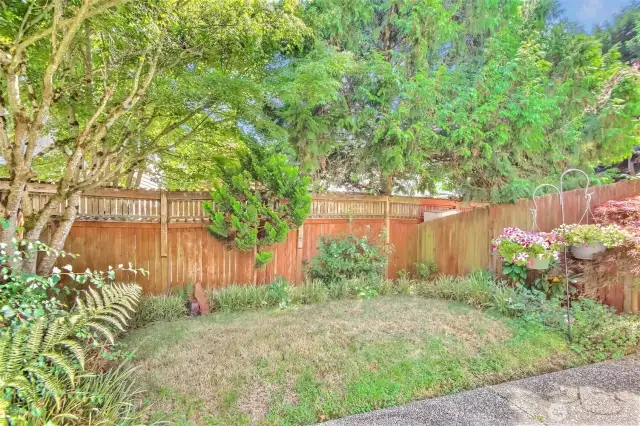 The fully fenced yard keeps fido safe