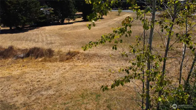 Mid lot view from the western edge to the south.