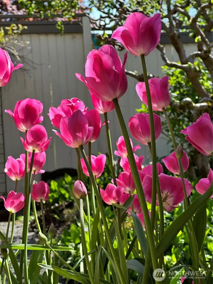 There's something blooming every season of the year.