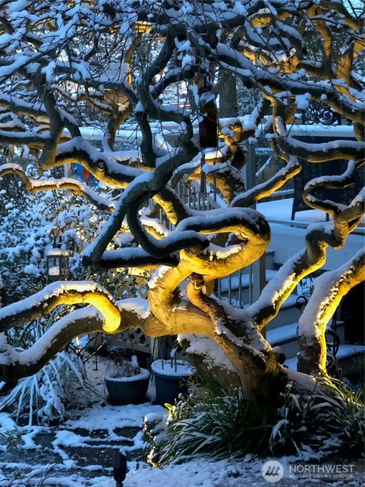 The yard is even beautiful in winter!