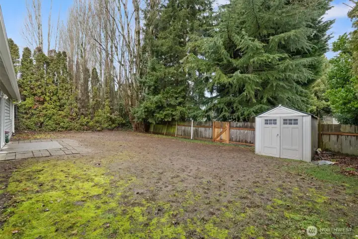 Fenced backyard with two storage sheds!