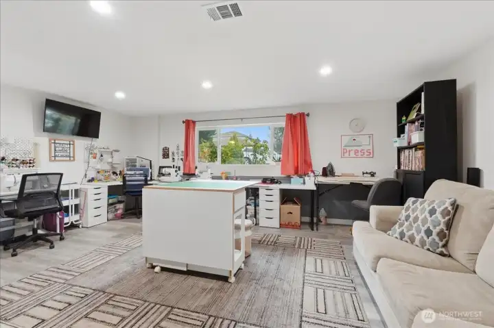 Lower level living/bonus room