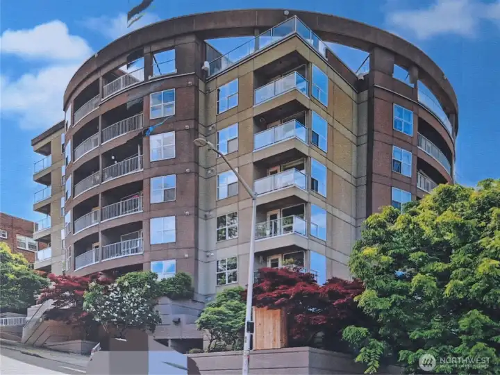 Supreme Appealing Street Presence