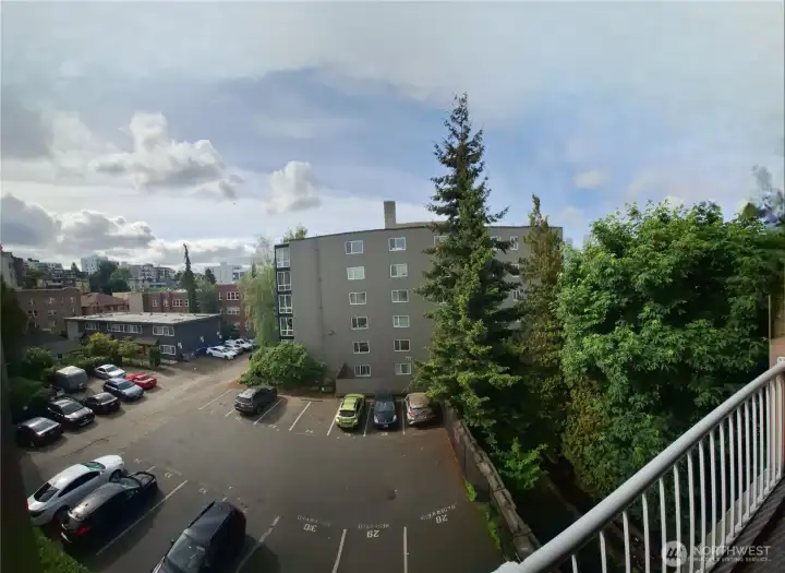 Serene Southern Territorial View