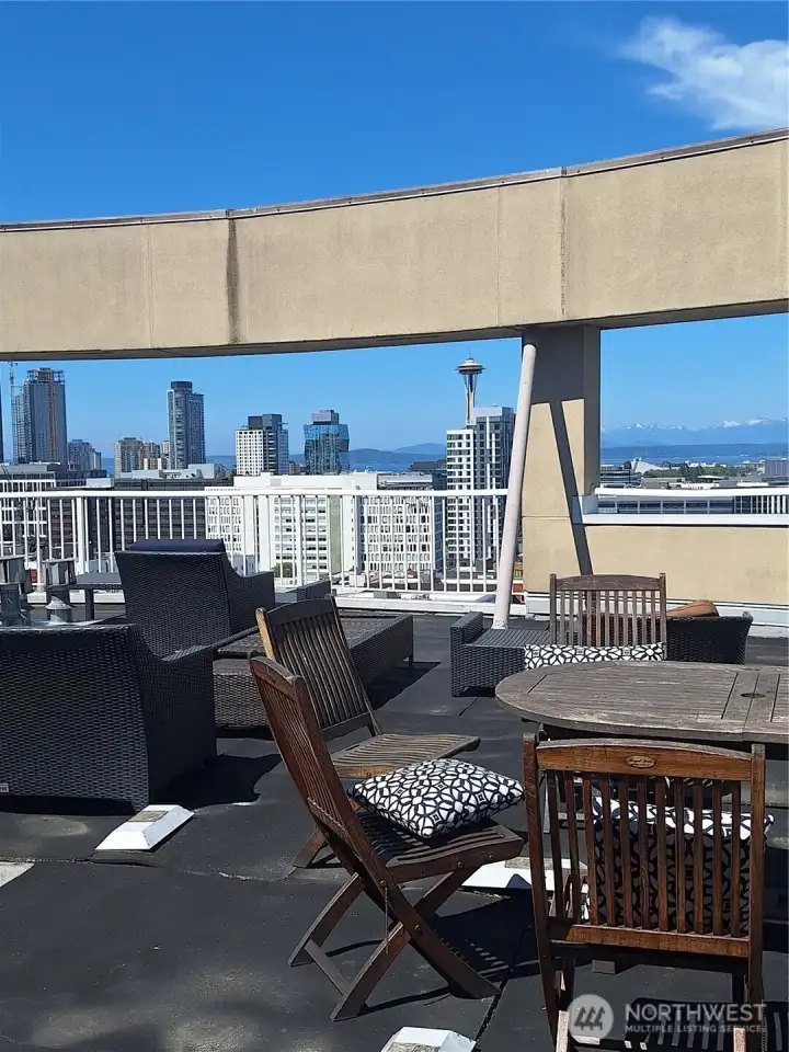 BBQ Roof top deck with Seattle and Lake views