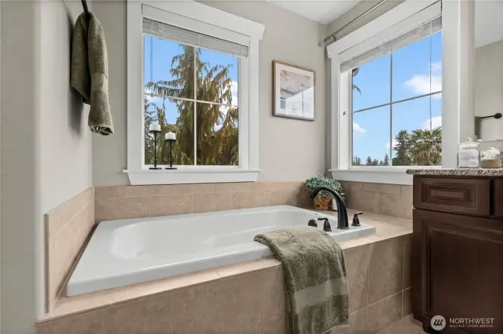 Views of the lake from the primary bath tub