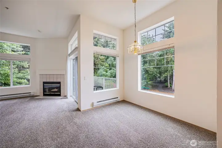 Incredible light filled rooms throughout