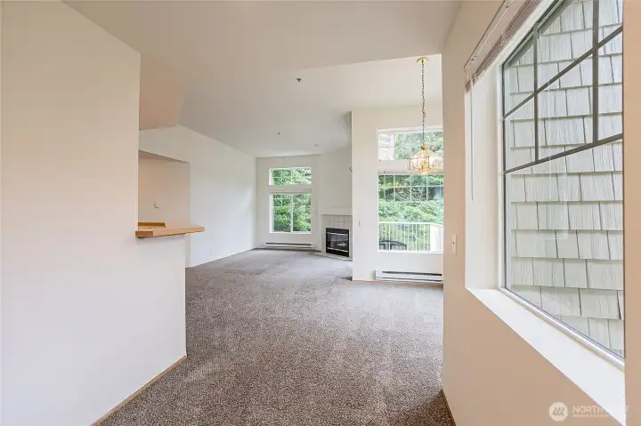 Lots of windows to brighten your world.