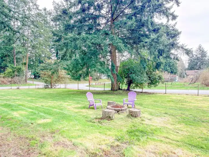 Large, level, lovely yard, with room for an ADU in the far front corner area.