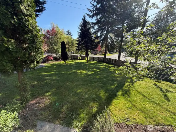 Front yard