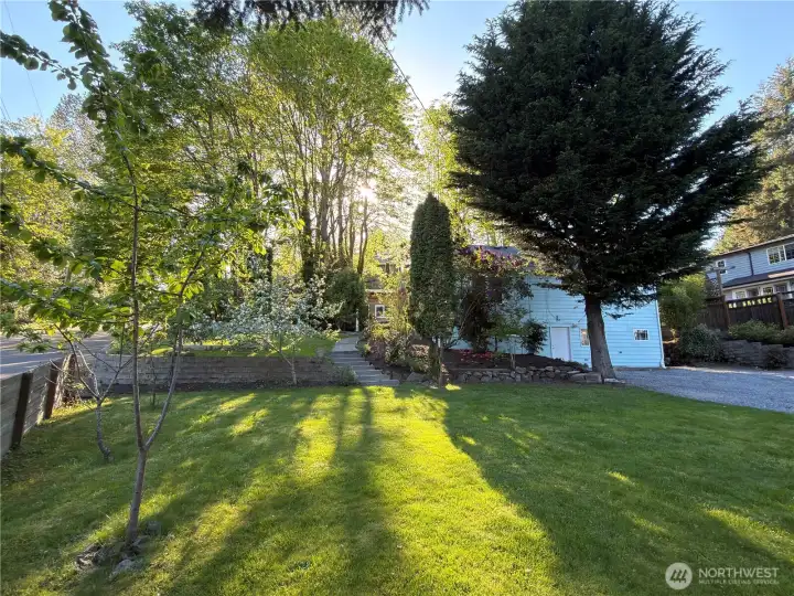 Front yard