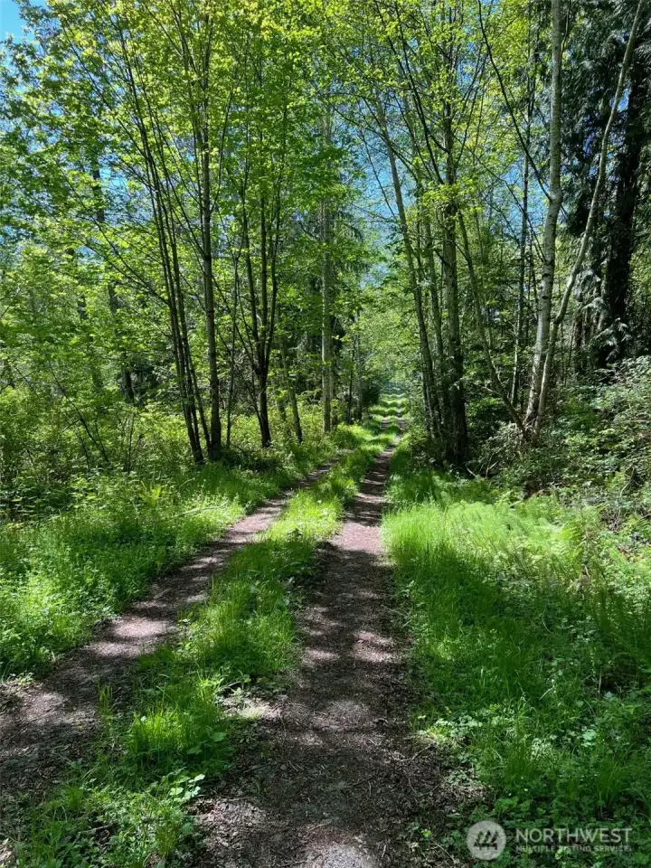 West side of property, access