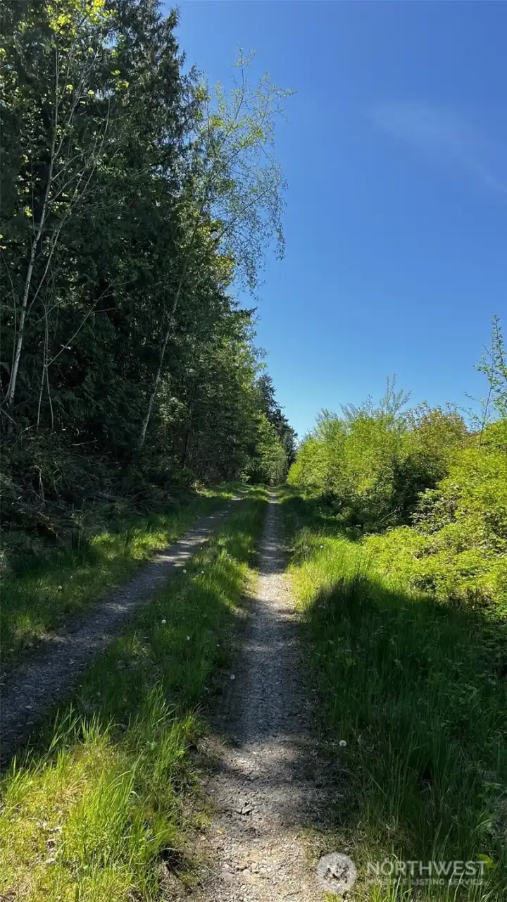 Peaceful and surrounded by nature