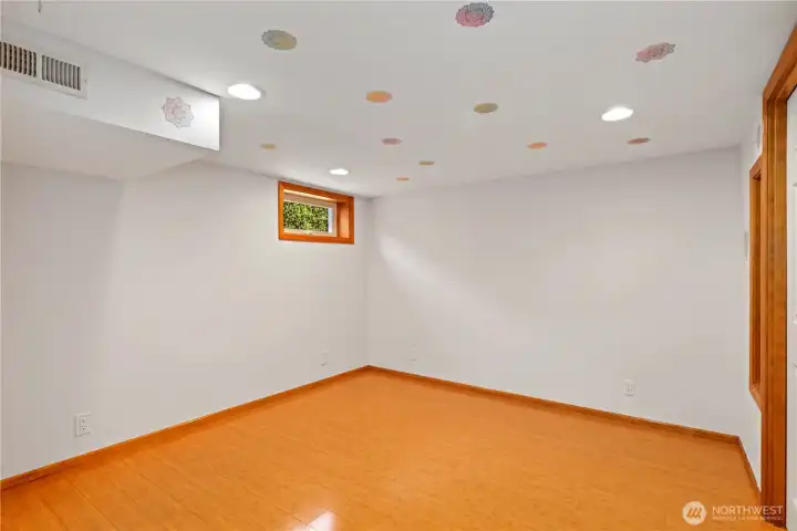 Downstairs Bedroom