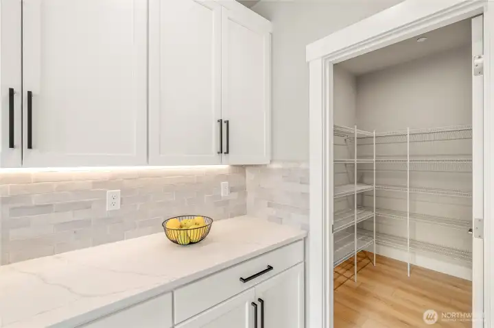 Kitchen Pantry