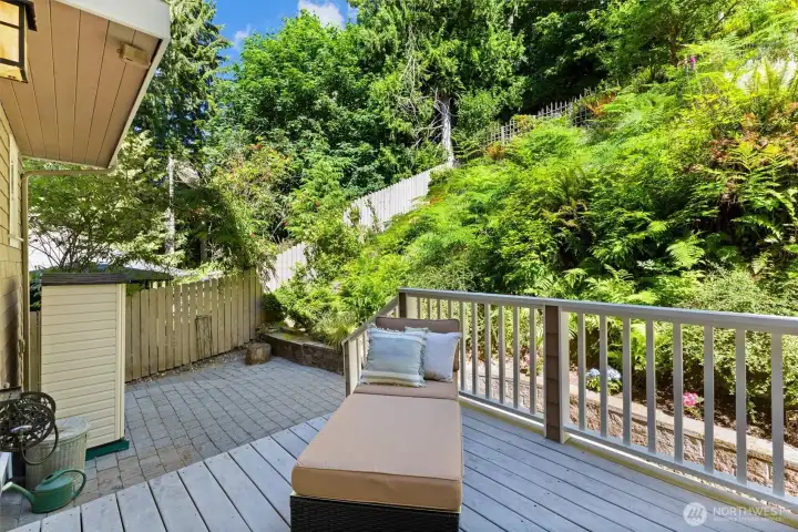 Back Patio