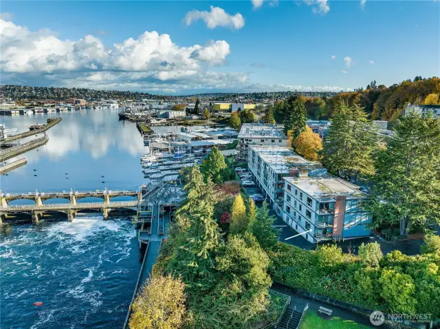 Next to ballard locks.