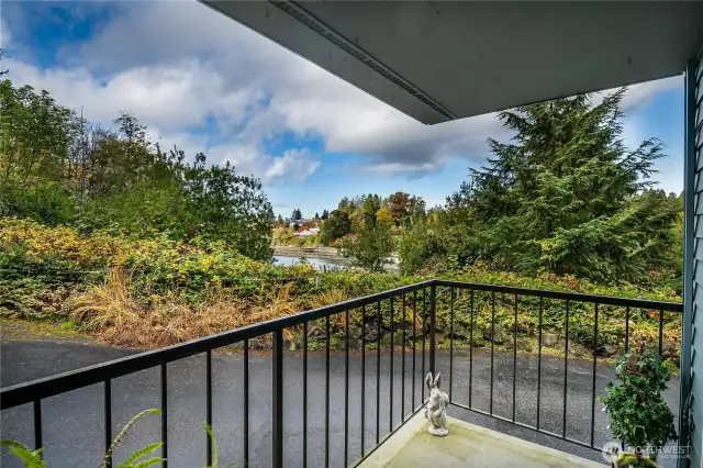 Balcony with view of Ballard Locks.