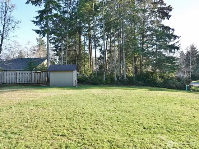 Cleared and Level Lot w/ a Shed (looking South).
