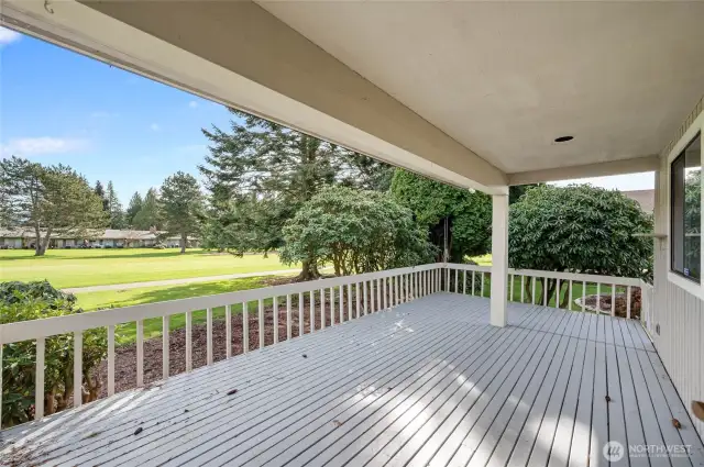 Covered back patio