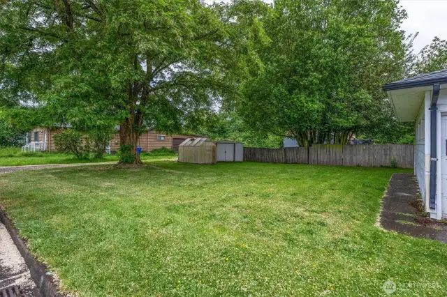 Large tree provides great shade for summer time relaxing.