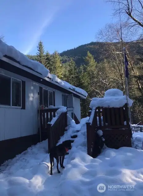 During the winter