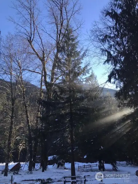 During the winter