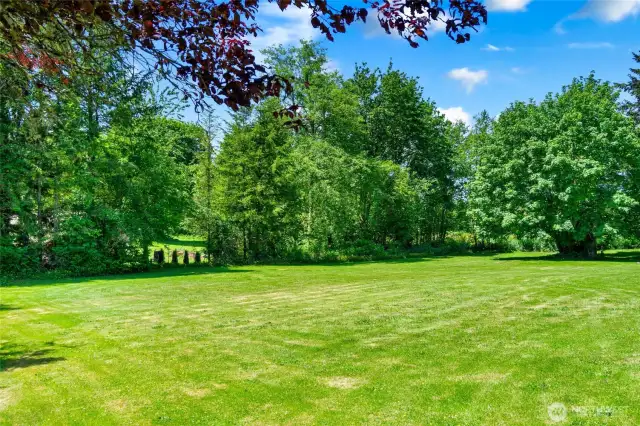 Beautiful backyard w/ a total of 2.3 acres!