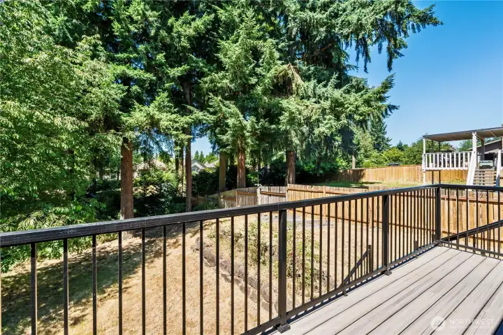 Back deck, with new composite material, looking out on the spacious back yard.