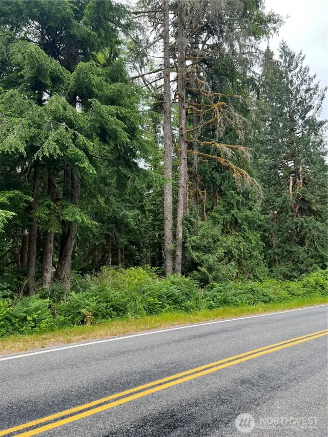 Road view