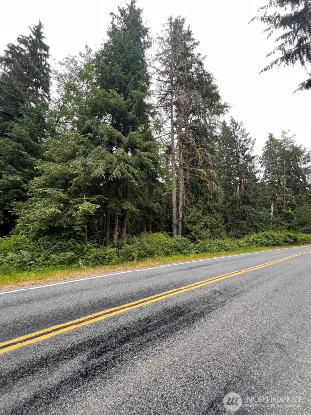 Road view