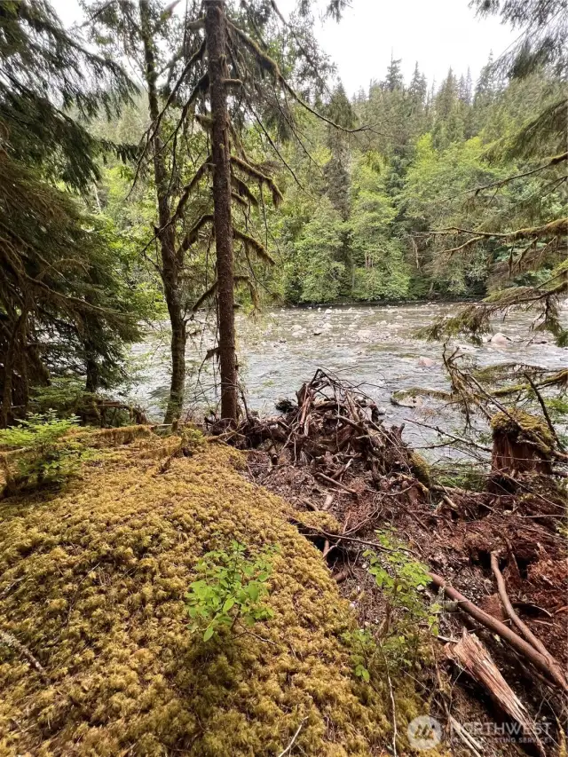 River view